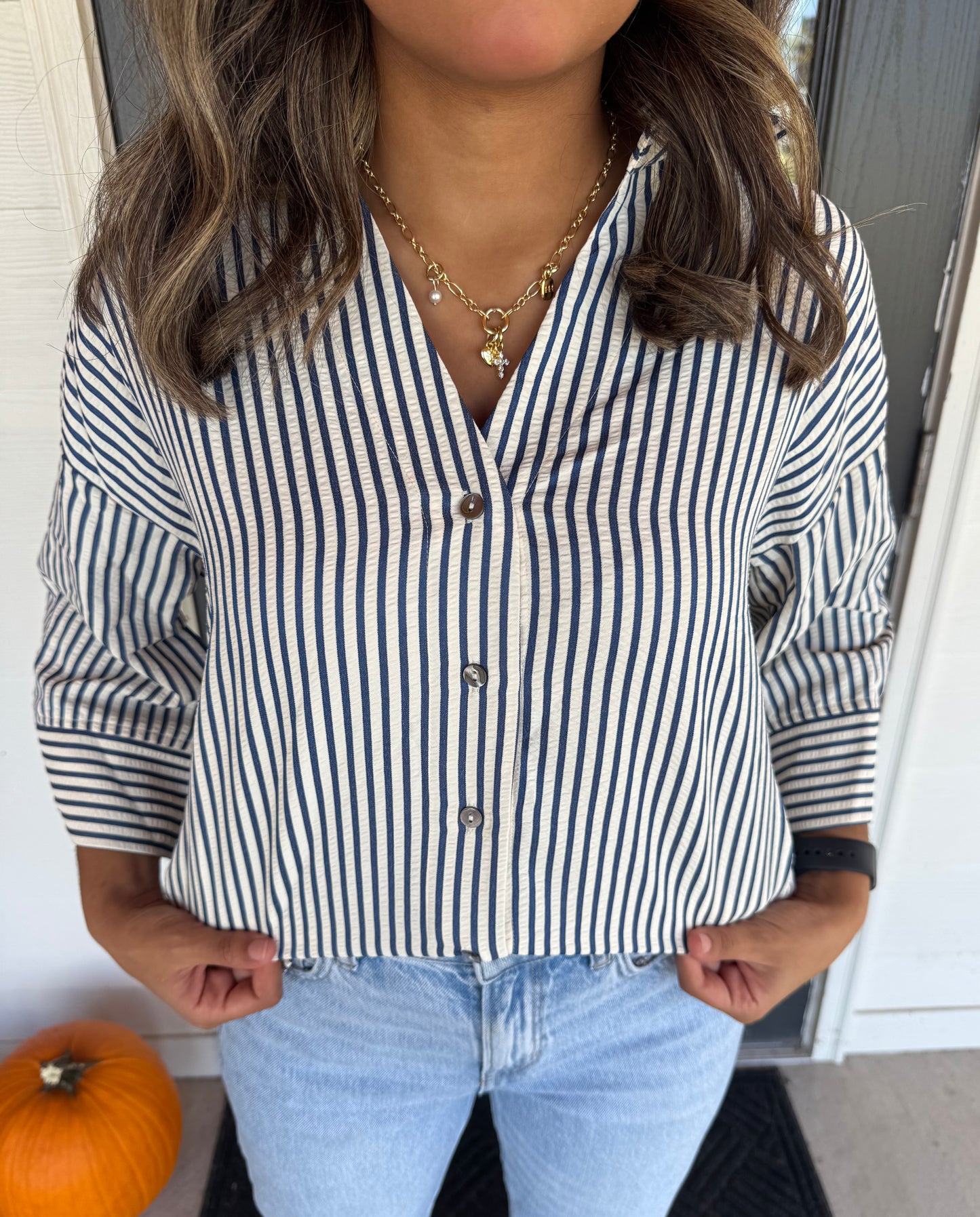 Indigo Stripe Top