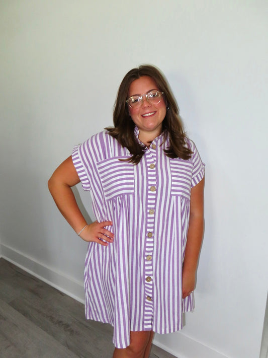 Paula Purple Stripe Dress