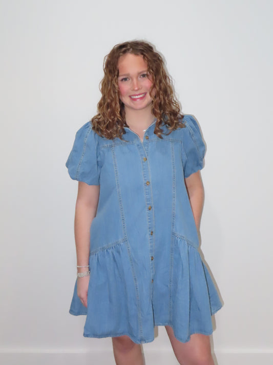 Darla Denim Dress